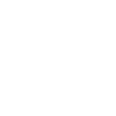 06-Dermapelle